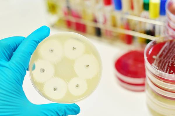 Harris to put in place new €20m plan to tackle hospital superbug