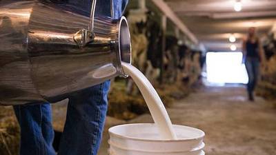 LacPatrick Dairies to begin talks with four interested parties