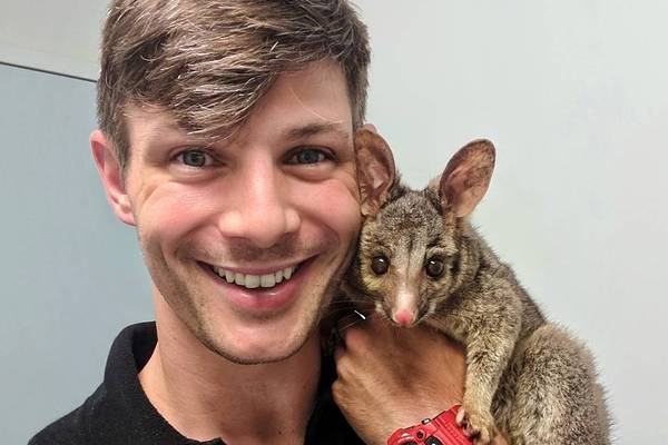 The Irish vet stitching up kangaroos and breaking hearts in Australia