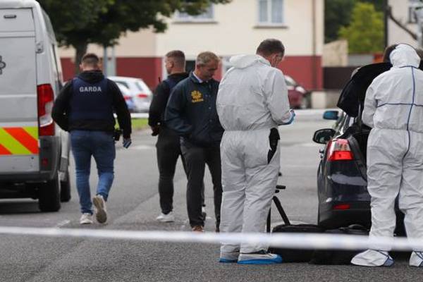 Pensioner dies following apparent stabbing in Dublin