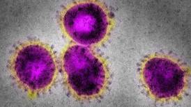 This is not a drill: the coronavirus threat to business grows