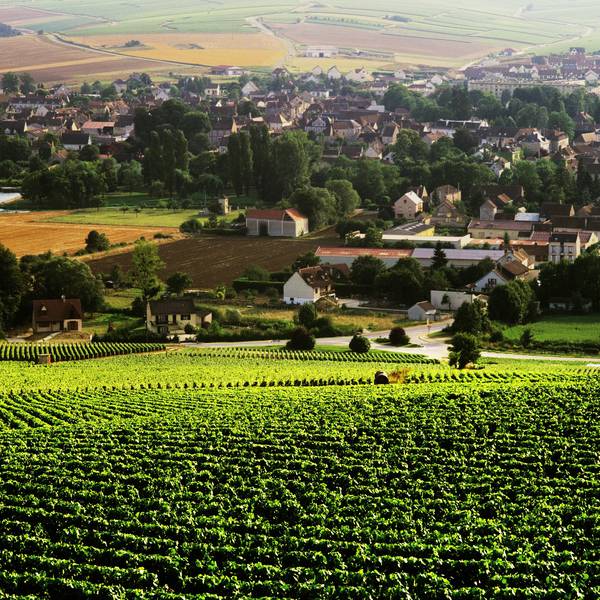 What’s so special about Chablis and why is it always so pricey?