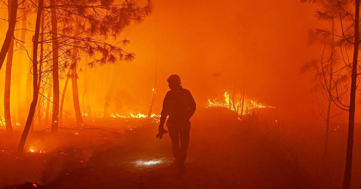 Южная Европа борется с лесными пожарами, поскольку жара распространяется на север – The Irish Times