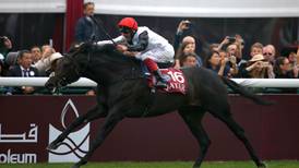 Golden Horn is named Horse of the Year and top three-year-old
