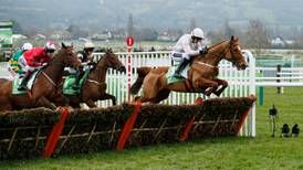 Gold Cup could be on the horizon for Annie Power