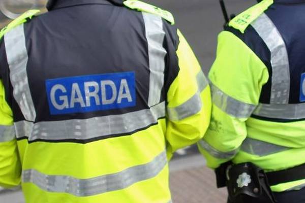Public perception of Garda continues to improve