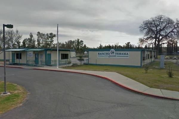 Five dead in California shooting spree that ended at school