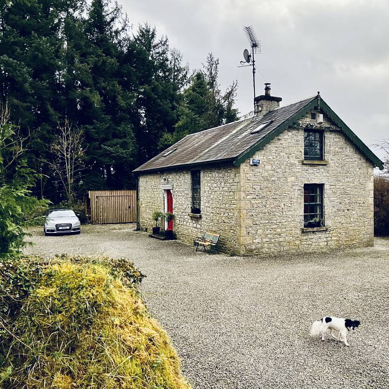 Two-acre hideaway at forest’s edge for €279,000 in Leitrim