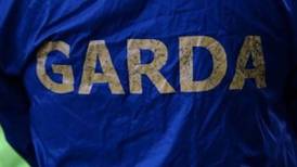 Gardaí make three arrests in international immigration probe