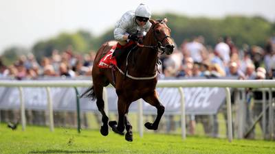 Permian takes Dante Stakes and boosts Cracksman’s Derby credentials