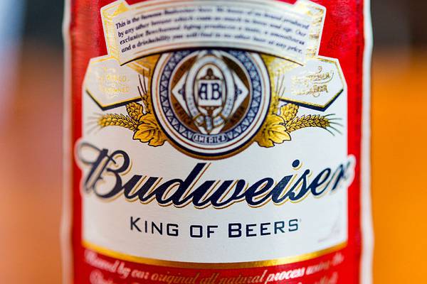 Bud gets wiser: ‘king of beers’ fights back against craft brewing