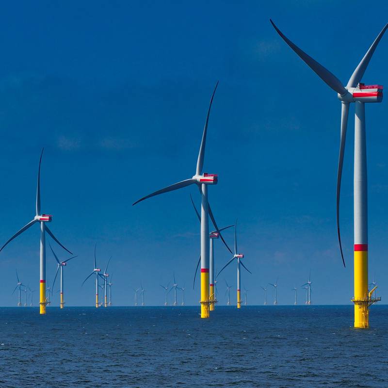 ‘Every country in Europe right now with a coastline and deep water is going after floating offshore wind.’ Except Ireland 