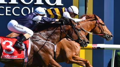 O’Brien and Mullins target Caulfield Cup glory