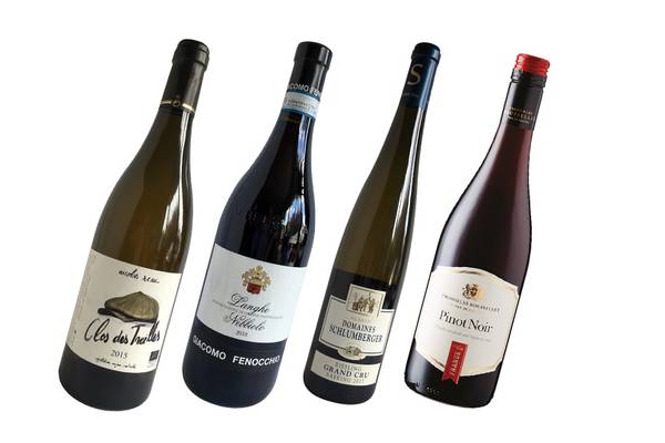 Perfect wines to go with a classic autumnal dish