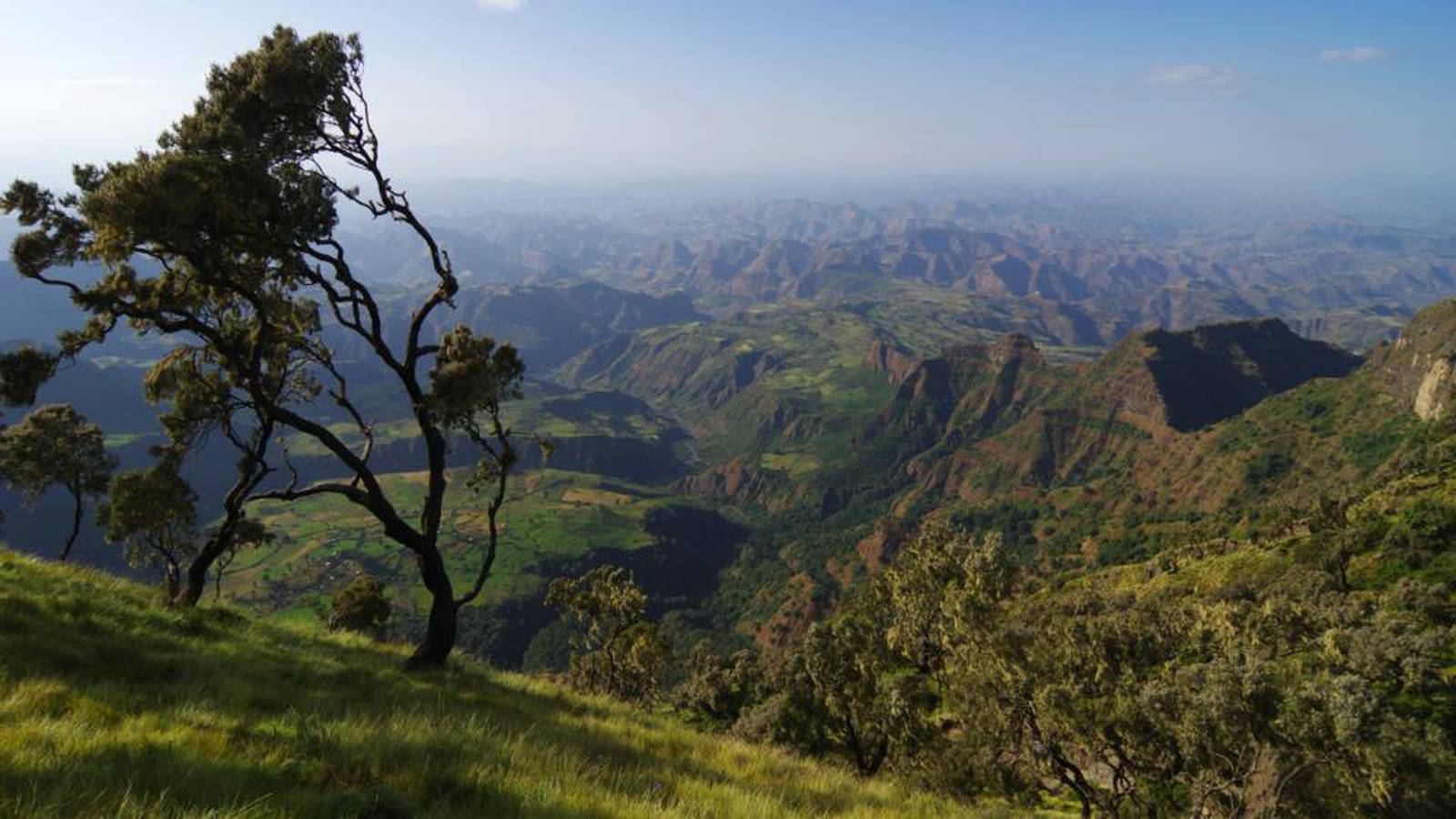 Восточное плоскогорье африки. Эфиопия Эфиопское Нагорье. Нац парк Сымен Эфиопия. Рельеф Эфиопии. Нагорье Восточной Африки.