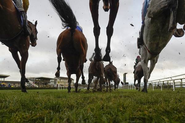 Brexit bound to disrupt transport of horses to and from Britain