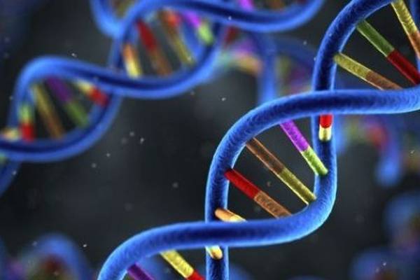 DNA-gathering company Genuity saw losses rise prior to sale