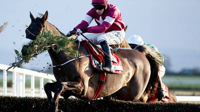 Mullins and Elliott run 14 at weekend but eyes are on Cheltenham