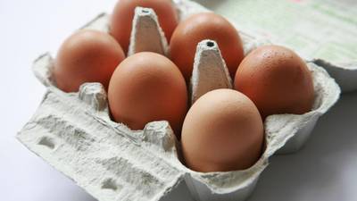 Galway egg firm fails in injunction bid