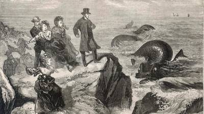 Ireland’s Loch Ness monster resurfaces after 144 years