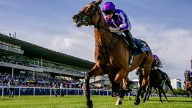 Magical enjoys the limelight at Leopardstown