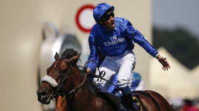 Ribchester could have Breeders Cup finale before retiring to stud