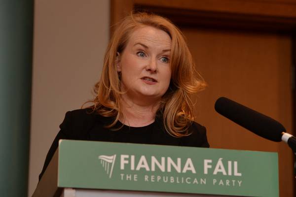 Details of abortion legislation review needed, Donnelly told