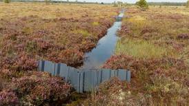Why peatlands matter in the battle against climate change