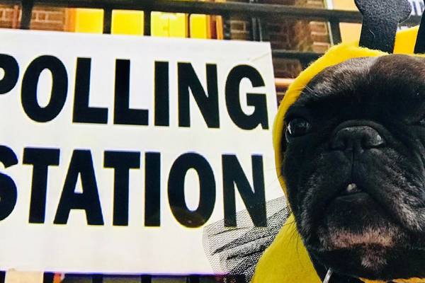 #dogsatpollingstations leads the way in UK election