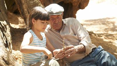 The Olive Tree review: A heartwarming social drama with shades of Ken Loach