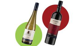 Two wines for under €10 to try: a light, fresh French Muscadet and a rediscovered red from Argentina
