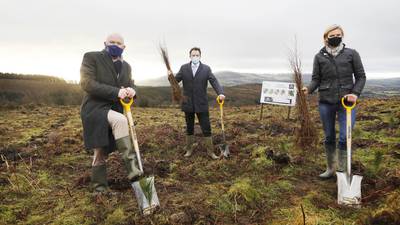 Aldi Ireland to plant 1m native Irish woodland trees by 2025