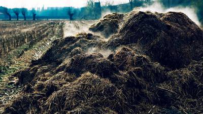 Pensioner assaulted neighbour in row over horse manure