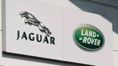 Jaguar family to grow with luxury cubs