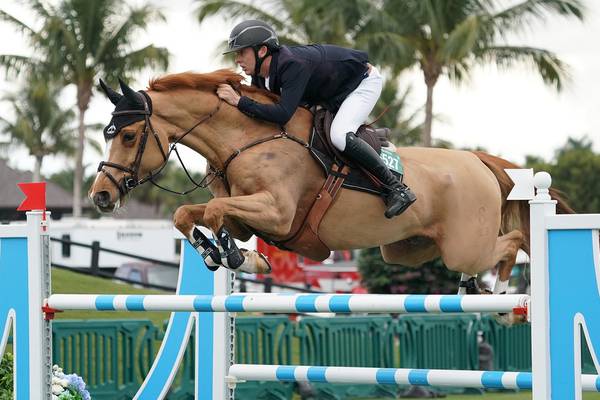 Bertram Allen makes his mark at Winter Equestrian Festival in Florida