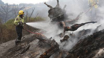 Rare New Zealand bushfire forces hundreds to evacuate