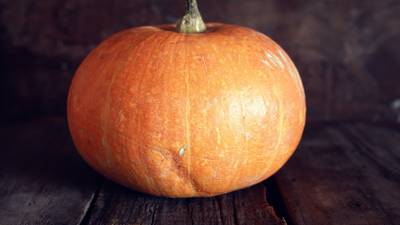 What to do with all those pumpkins? Well there’s more to them than soup