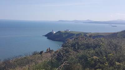 Injured man rescued after falling from cliff path in Howth