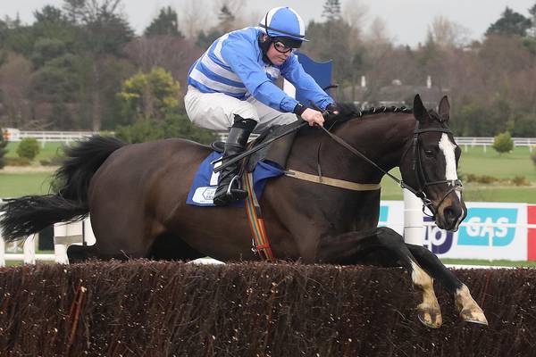 Ballycasey and Alelchi Inois head weights for Aintree Chase