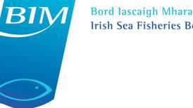 BIM five-year plan aims to generate €1 billion in Irish seafood sales
