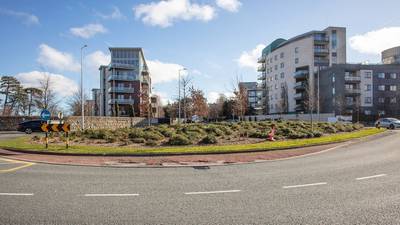Dundrum build-to-rent scheme would hit property prices, residents claim