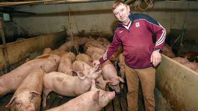 ‘Do I need two vets now?’ Border farmers sweat over Brexit