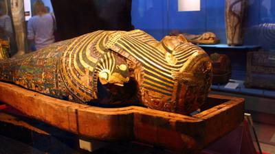 Egyptian mummy entrails could help reduce allergies