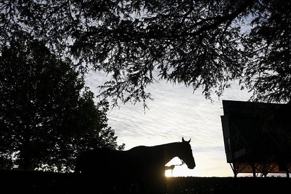 Horses at raided Kildare yard test negative for prohibited substances