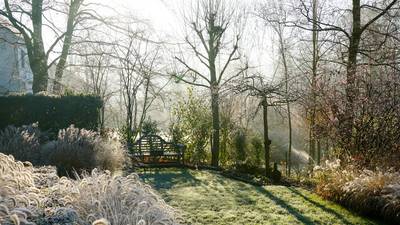 How to create a classic tailored winter garden
