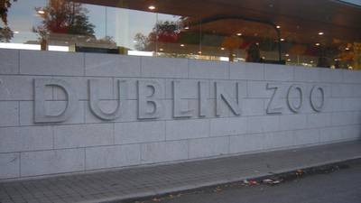 Schoolboy (13) awarded over €15,000 for injury at Dublin Zoo