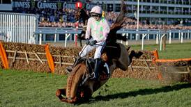 Annie Power: Most expensive bullet the betting industry ever dodged