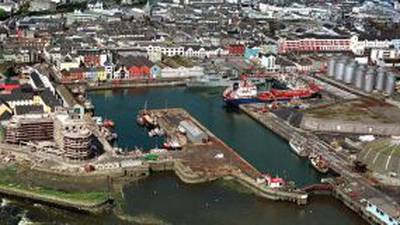 Hearing hears rejection of claim no viable alternative to Galway port expansion