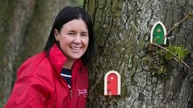 Rescue plan sought for Irish Fairy Door Company