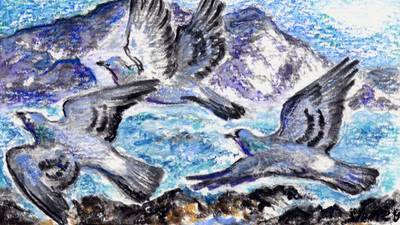 Another Life: Close call for our last few rock doves, wild originals of the west coast